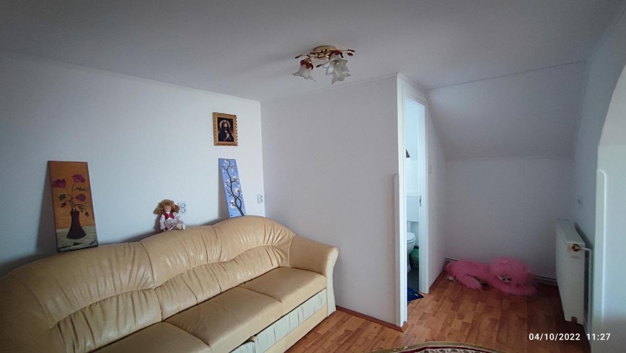 Ferienwohnung Dariamaf Câmpulung Moldovenesc Exterior foto