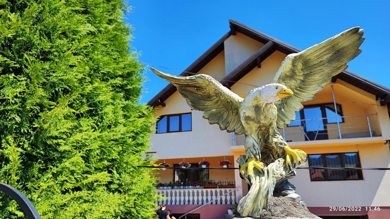 Ferienwohnung Dariamaf Câmpulung Moldovenesc Exterior foto